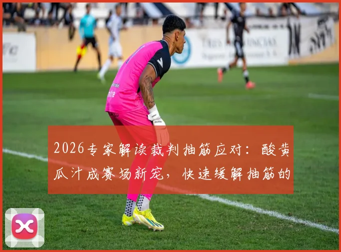 2026专家解读裁判抽筋应对：酸黄瓜汁成赛场新宠，快速缓解抽筋的实战秘诀