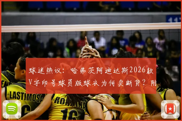 球迷热议：哈弗茨阿迪达斯2026款V字印号球员版球衣为何卖断货？附正版购买攻略与库存告急应对方法