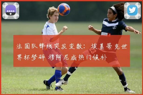 法国队锋线突发变数：埃基蒂克世界杯梦碎 穆阿尼成热门候补